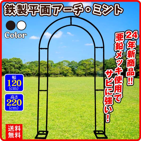 国華園 アーチ 鉄製 平面 アーチ・ミント 1個 白 黒 幅120 高さ220 