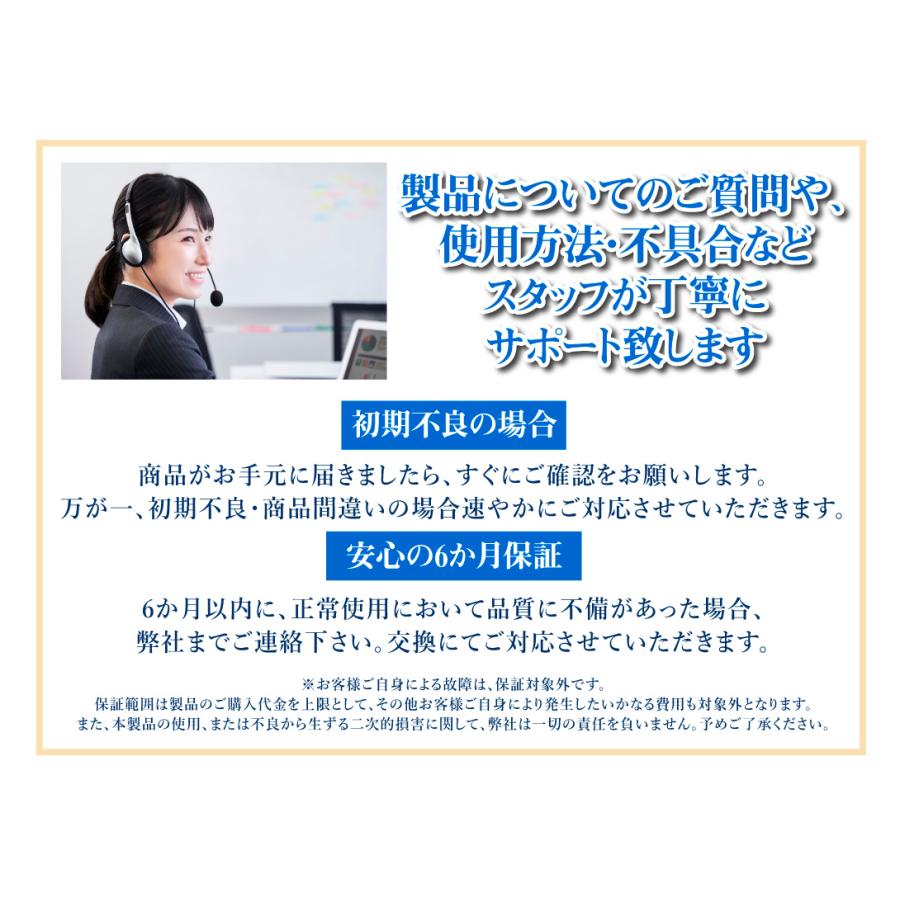 充電式 ブロワ バキューム バッテリー 1個 充電器 付属 21V 充電式 ブロワ バキューム バッテリー 1個 充電器 付属 21V