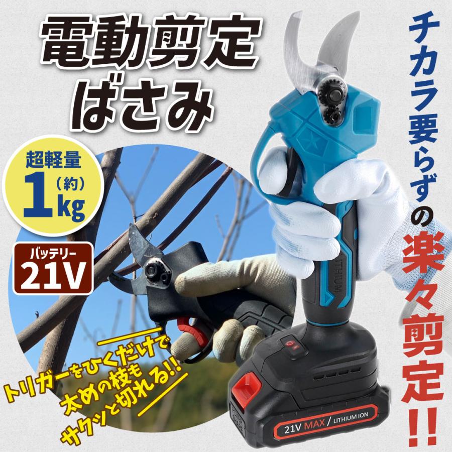 充電式 らくらく電動剪定はさみ バッテリー・充電器付 21V 電動 充電式 らくらく電動剪定はさみ バッテリー・充電器付 21V 電動