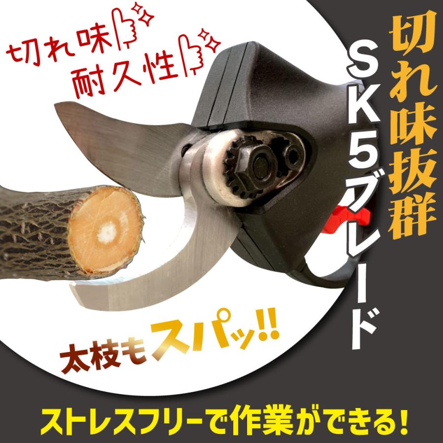 充電式 らくらく電動剪定はさみ バッテリー・充電器付 21V 電動 充電式 らくらく電動剪定はさみ バッテリー・充電器付 21V 電動