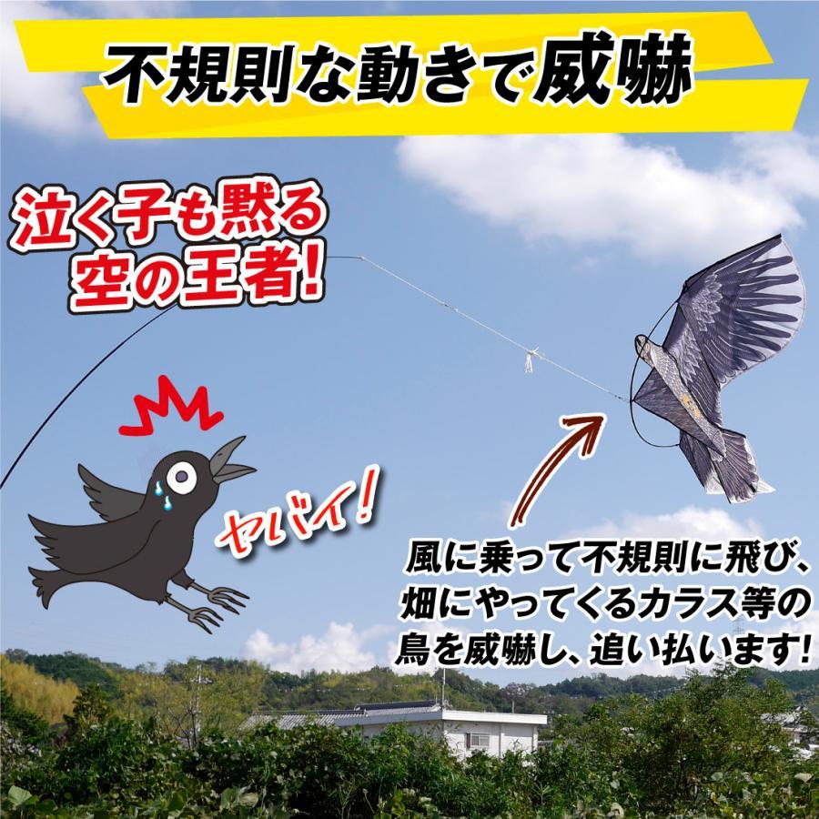 鳥よけ カラスよけ カラス対策 凧 鳥よけカイト 鷹 1個 国華園