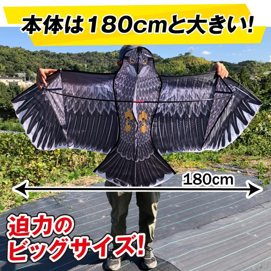 鳥よけ カラスよけ カラス対策 凧 鳥よけカイト 鷹 1個 国華園