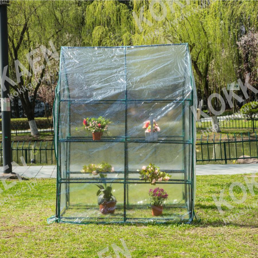 温室 ビニールハウス 家庭用 大型 ビニール温室 (ビニール温室ワイド