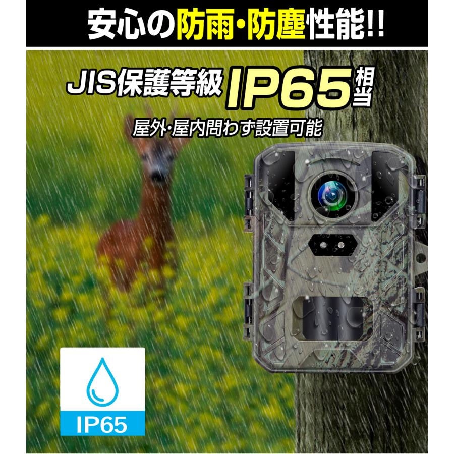 国華園 防犯カメラ トレイルカメラ 4K 5000万画素 高画質 室内 屋外
