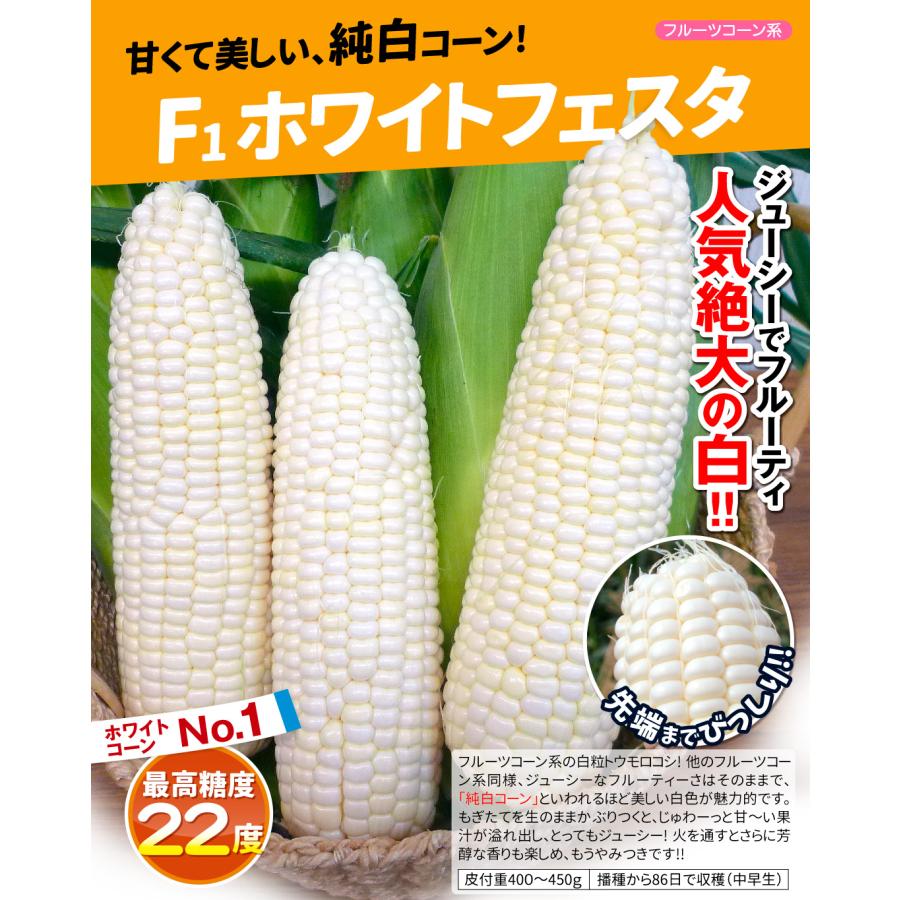 種 野菜たね トウモロコシ F1ホワイトフェスタ 1袋（30ml） ホワイト