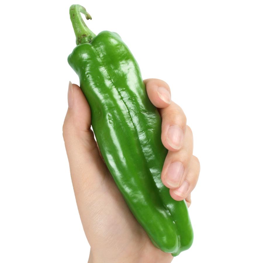種 野菜たね 甘トウガラシ F1甘長キング 1袋（0.8ml） やさいの種 国
