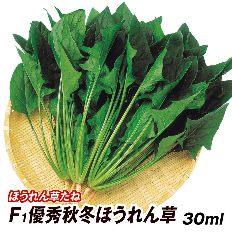 花と緑 国華園 ホウレンソウ 野菜たね Yahoo ショッピング