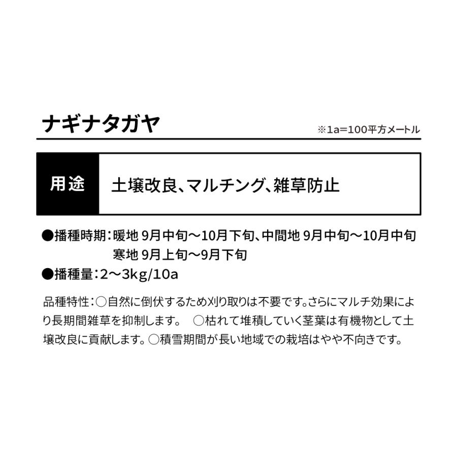 種 野菜たね 緑肥・雑草抑制作物 ナギナタガヤ 1袋（0.5kg） 野菜の種