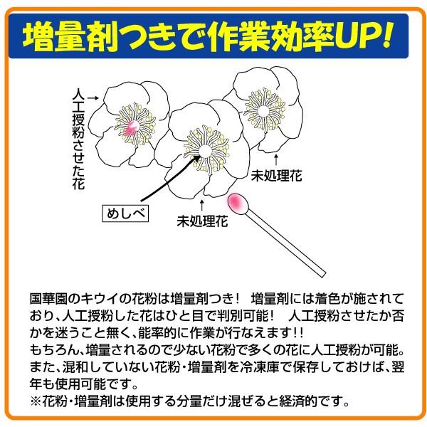 果樹苗 資材 キウイの花粉+増量剤 1組 送料無料 : 花と緑 国華園