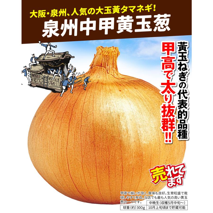 国華園 種 野菜たね タマネギ （中晩生）泉州中甲黄玉葱 1袋（3ml