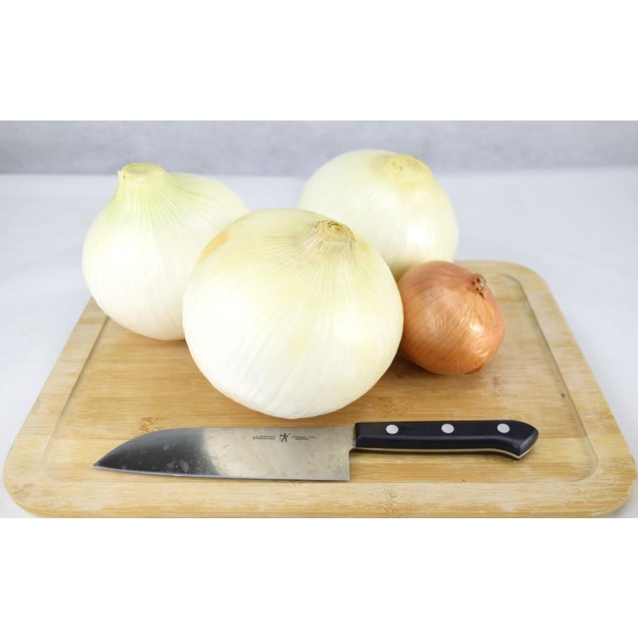 タマネギ 種 野菜たね F1メガオニオン 1袋 3ml 野菜のタネ 野菜 種子 タマネギの種 タマネギ 玉葱 玉ねぎ たまねぎ タネ Ytc04 国華園 14n P6 0098 花と緑 国華園 通販 Yahoo ショッピング