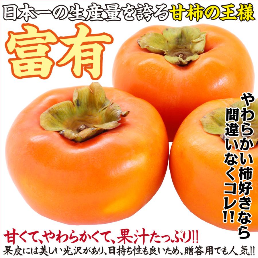 国華園 果樹苗 カキ 甘柿 富有 1株 : 花と緑 国華園 - 通販 - Yahoo