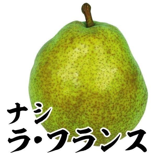 梨 苗木 洋ナシ ラ フランス 1株 なし 苗 梨の苗木 果樹苗 国華園 14n P8 0054 花と緑 国華園 通販 Yahoo ショッピング
