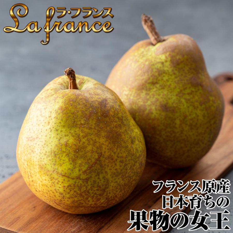 国華園 果樹苗 ナシ 洋梨 ラ・フランス 1株 : 花と緑 国華園 - 通販