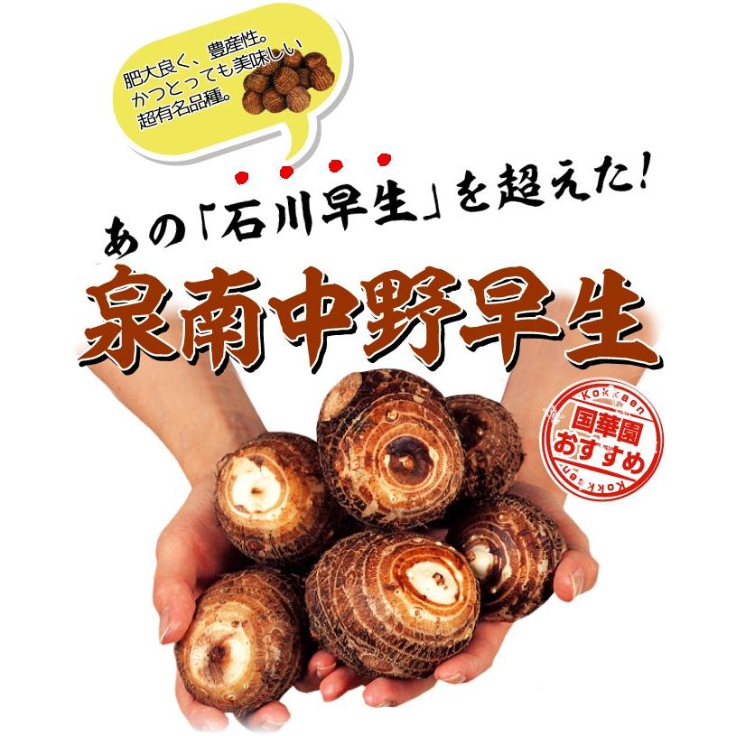 里芋 種芋 泉南中野早生 500g さといも 里イモ 種いも タネイモ 家庭菜園 自給自足 球根 国華園 15 P3 197 花と緑 国華園 通販 Yahoo ショッピング