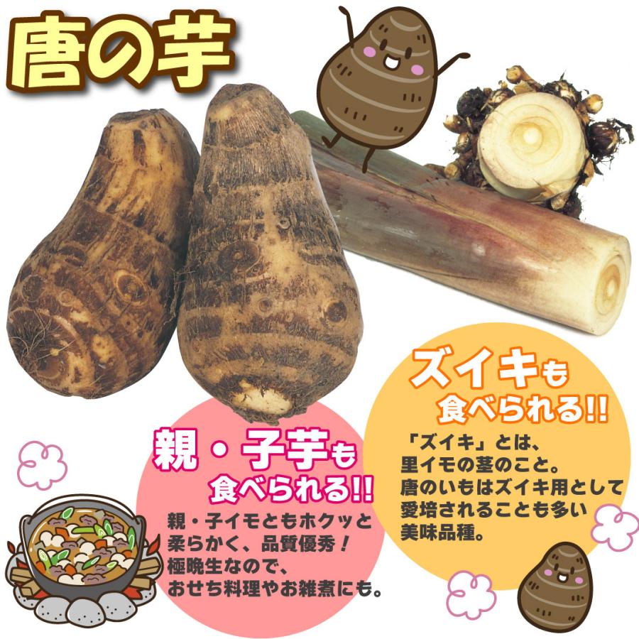 里いも種芋 唐の芋 500g / 里芋 里いも 里イモ さといも 種芋 タネイモ