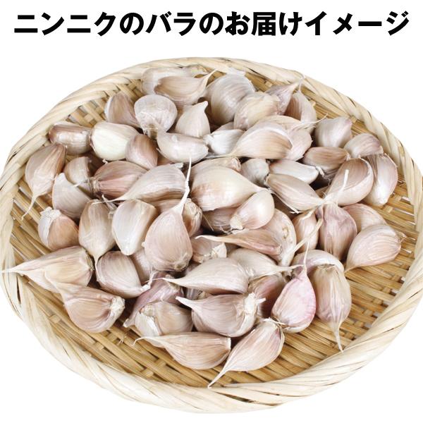 国華園 ニンニク 種球 嘉定ニンニク (バラ) (中国産) 5kg / にんにくの