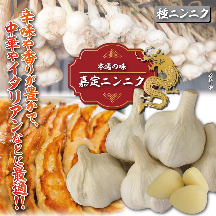 ニンニク 種球 嘉定ニンニク (バラ) (中国産) 5kg / にんにくの