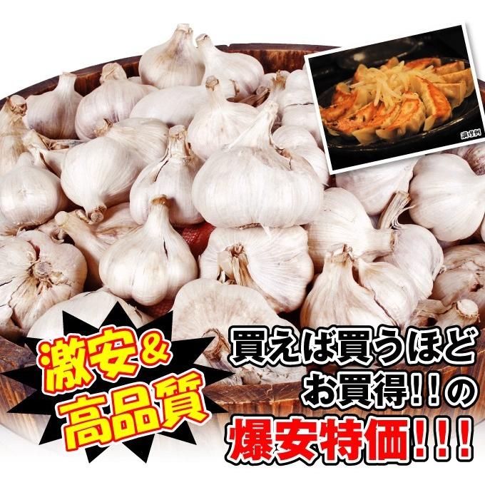 ニンニク 種球 嘉定ニンニク (バラ) (中国産) 5kg / にんにくの種