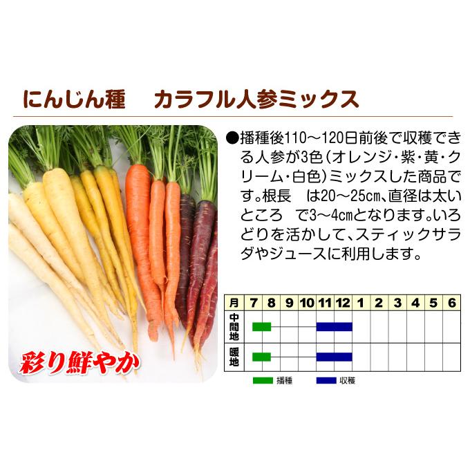 驚きの値段驚きの値段ニンジン 種 たね F1カラフル人参ミックス 1袋(ペレット種子100粒) 人参 野菜たね YTC26 根菜、豆類、もやし ニンジン 種 たね F1カラフル人参ミックス 1袋(ペレット種子100粒) 人参 野菜たね YTC26