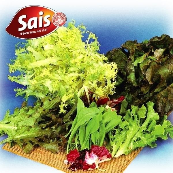 種 野菜たね 税込 イタリア野菜 菜類 10ml サラダミックス 人気海外一番 1袋