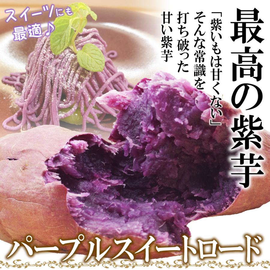 イモヅル 芋づる パープルスイートロードイモヅル300本 / さつまいもの