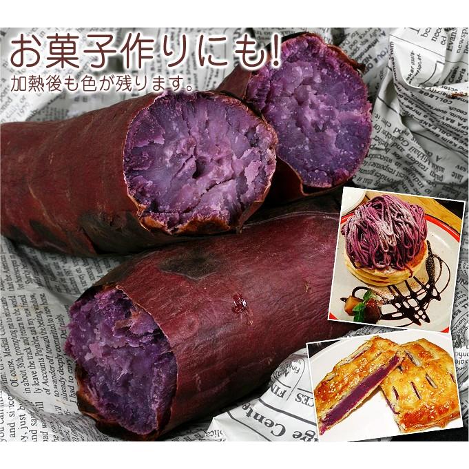 国華園 イモヅル 芋づる パープルスイートロードイモヅル300本
