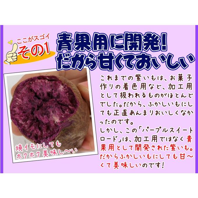 国華園 イモヅル 芋づる パープルスイートロードイモヅル300本