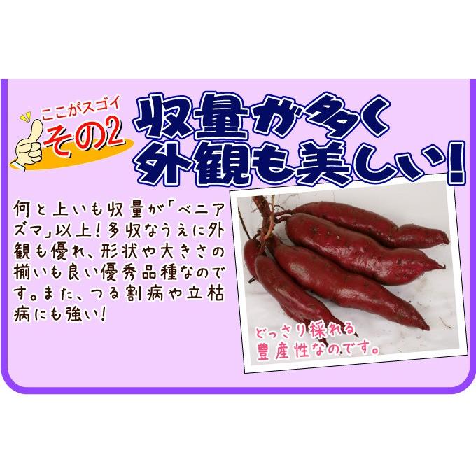 13155627_7