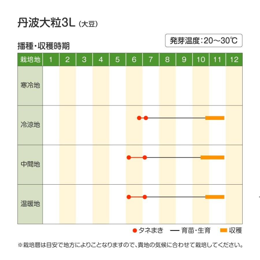 大豆 種 野菜たね 丹波大粒3L 1袋（30ml） 黒豆 たんば マメ 豆 だいず やさいたね 国華園 こっかえん｜kokkaen｜05