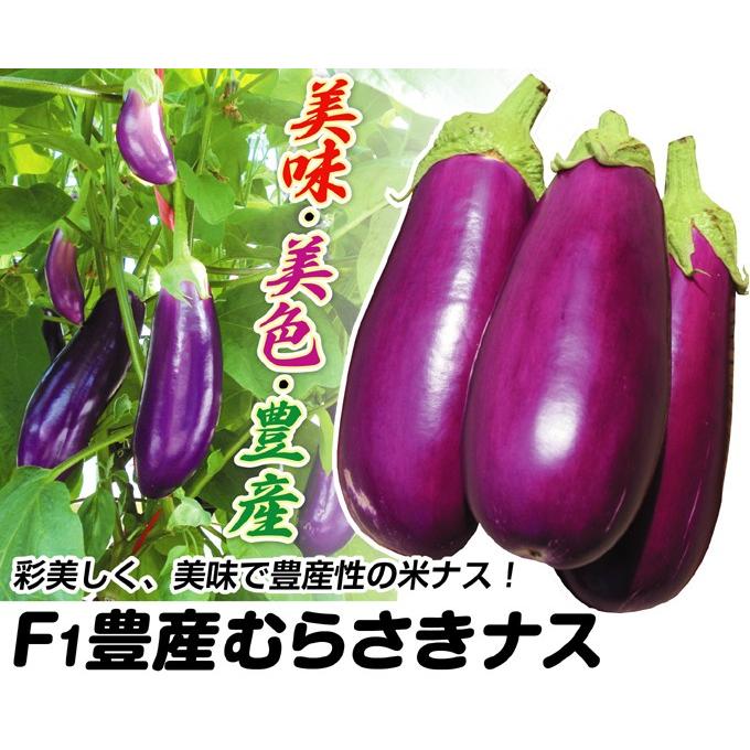 種 野菜たね ナス F1豊産むらさきナス 1袋（15粒） やさいの種 国華園