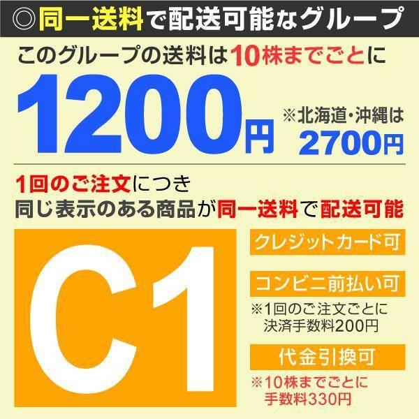 コケモモ 苗木 レッドキャンディｐ 1株 リンゴンベリー 苔桃 苗 コケモモの木 果樹苗 国華園 17 P8 0469 花と緑 国華園 通販 Yahoo ショッピング