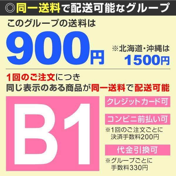 パンパスグラス 苗 ホワイト 1株 シロガネヨシ 花木苗 179 P4 0073 花と緑 国華園 通販 Yahoo ショッピング