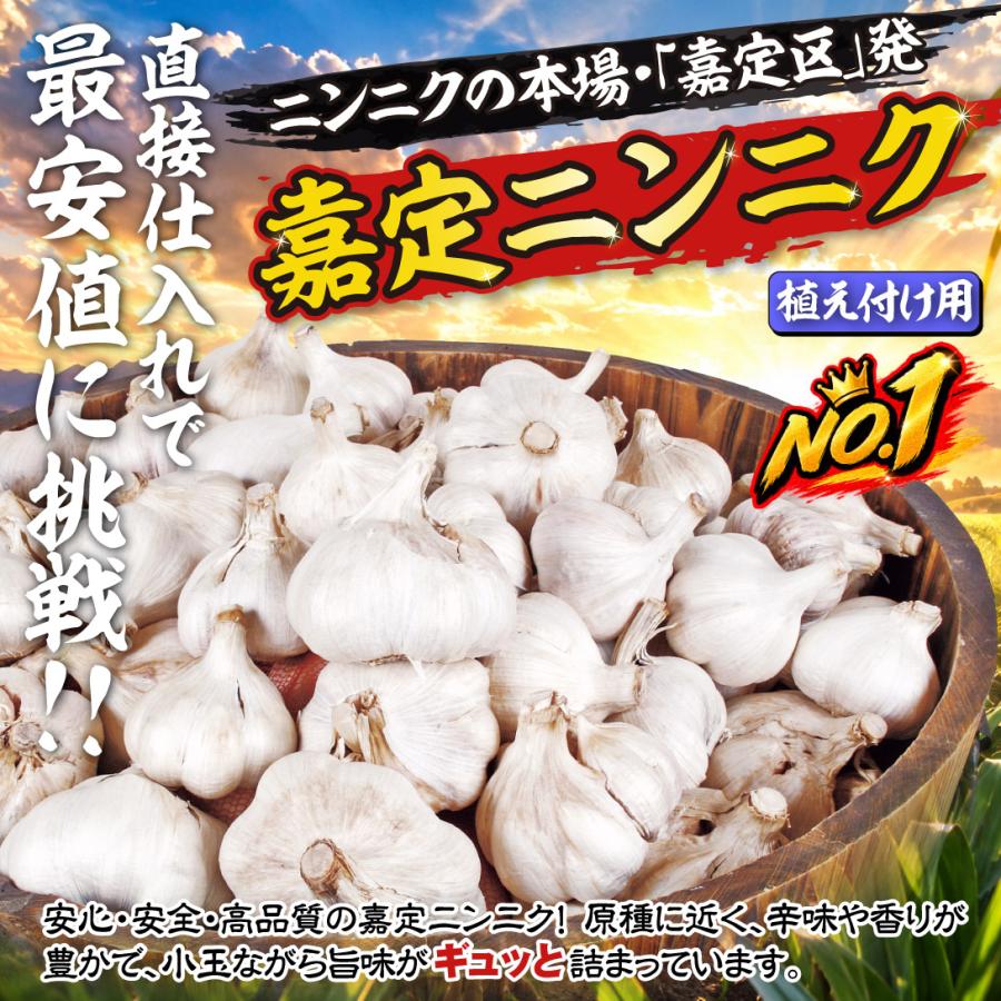 国華園 ニンニク 種球 嘉定ニンニク (種球) (中国産) 20kg / にんにく