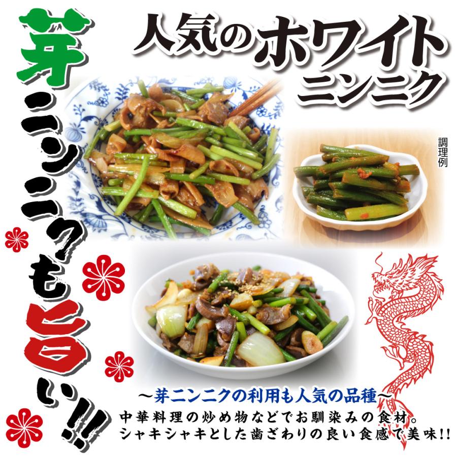 ニンニク 種球 ホワイトニンニク (種球) (中国産) 20kg / にんにくの種