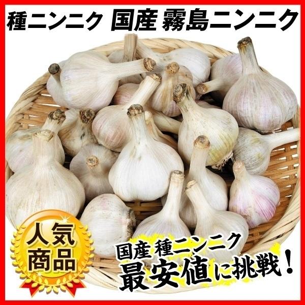 ニンニク 国産ニンニク 野菜 にんにく 種球 霧島ニンニク 種球 国産 球根 種芋 kg にんにくの種 ガーリック 家庭菜園 高品質 最安値 霧島 低価格 安い 花と緑 国産ニンニク 人気 17n P3 0010 国華園