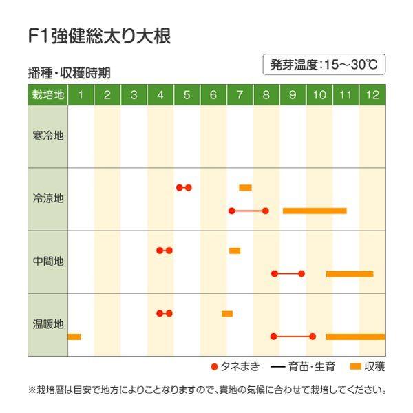 大根 ダイコン タネ F1強健総太り大根 1袋 5ml 種 野菜たね Ytc08 17n P6 0013 花と緑 国華園 通販 Yahoo ショッピング