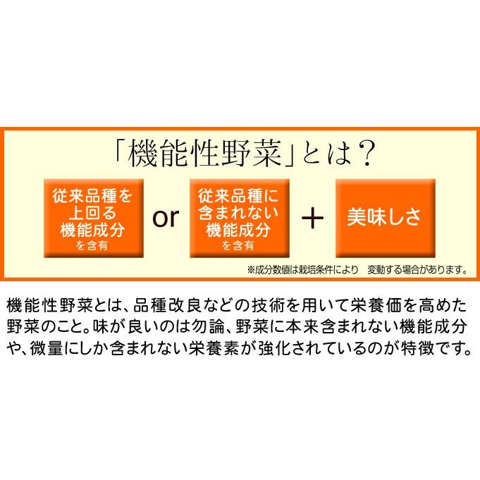 ハクサイ 種 野菜たね F1オレンジクイン 1袋 コート種子150粒 野菜のタネ 野菜 種子 白菜の種 ハクサイ 白菜 タネ Ytc11 国華園 17n P6 0059 花と緑 国華園 通販 Yahoo ショッピング