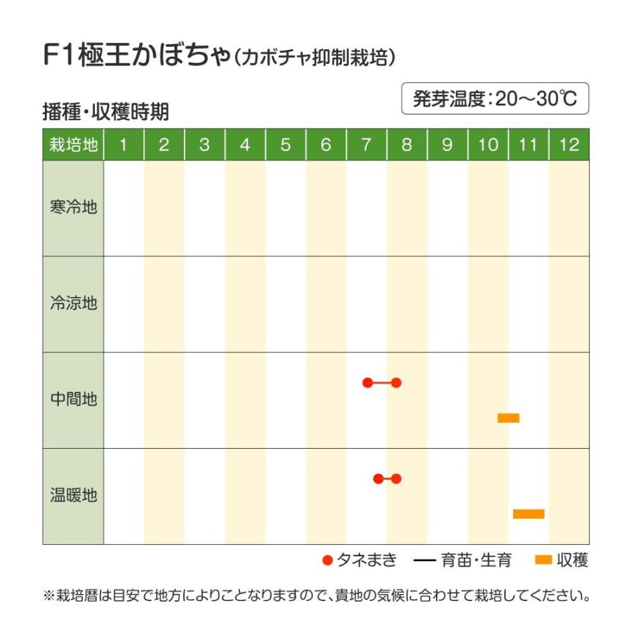 種 野菜たね 秋どり カボチャ F1極王かぼちゃ 1袋（10粒） 露地抑制