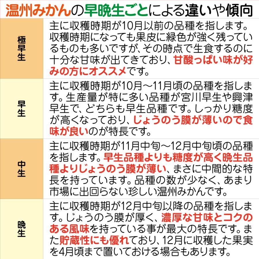 国華園 果樹苗 温州みかん カンキツ 小原紅早生 3株 : 花と緑 国華園