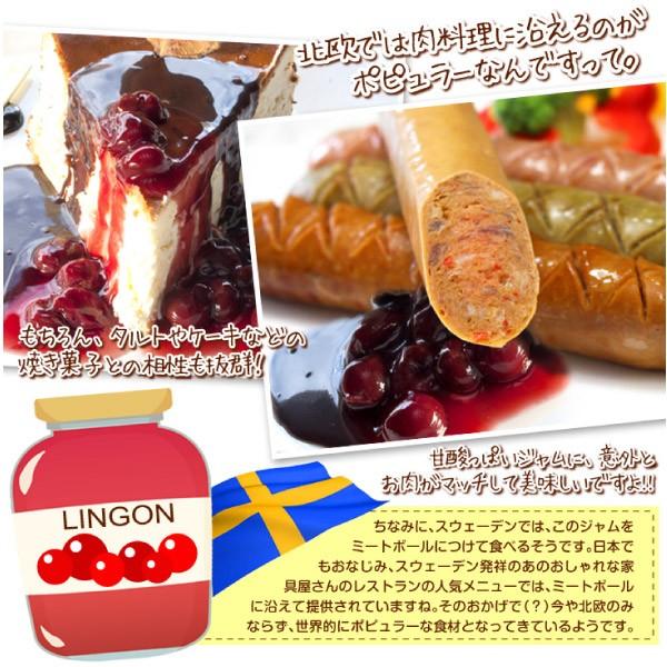 コケモモ 苗木 レッドキャンディｐ 1株 リンゴンベリー こけもも 苔桃 苗 コケモモの木 果樹苗 国華園 17n P8 0238 花と緑 国華園 通販 Yahoo ショッピング