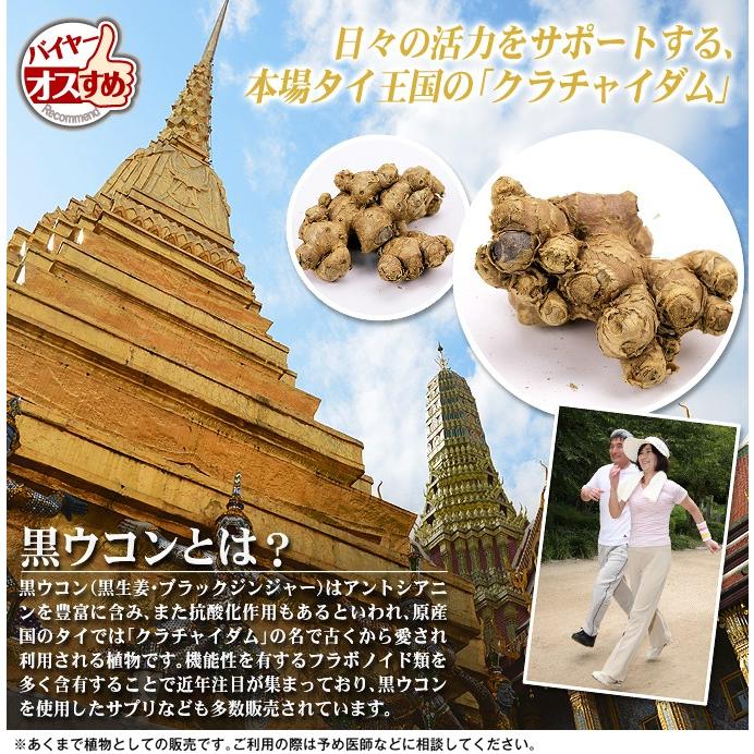 種いも 黒ウコン 250g / うこん くろうこん 黒うこん クロウコン 黒