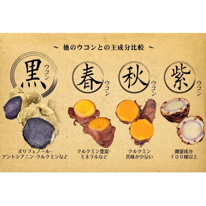 黒ウコン　種芋　250g 超希少　貴重　珍しい野菜　野菜の種　家庭菜園　希少野菜 種いも 黒ウコン 250g / うこん くろうこん 黒うこん クロウコン 黒