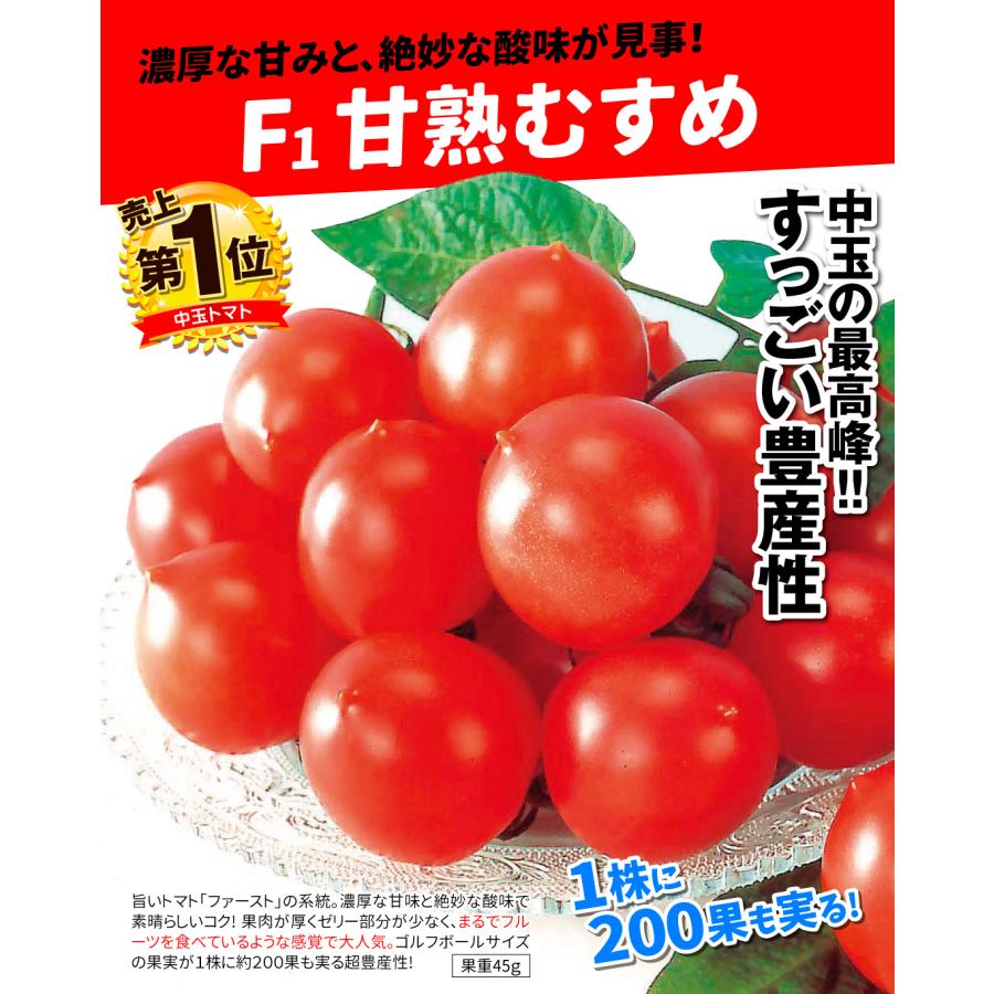 接木野菜苗 中玉トマト 接木F1甘熟むすめ 20株  やさいなえ なえ 国華園の画像