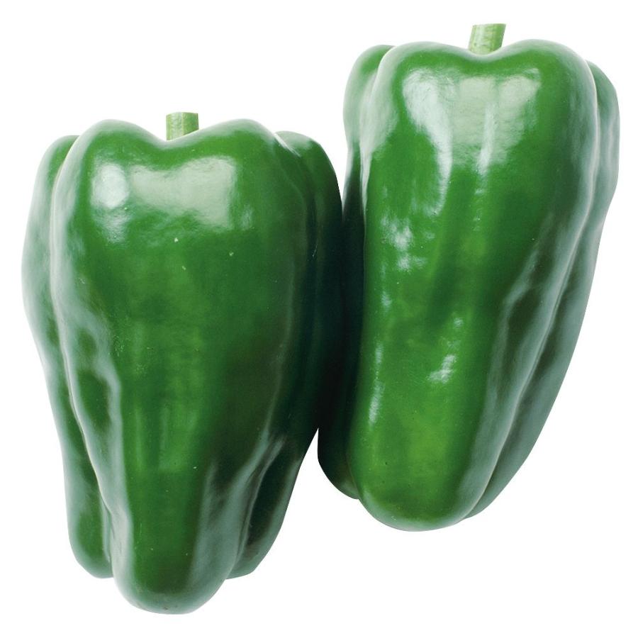 接木野菜苗 ピーマン 接木f1京波 12株 ぴーまん 苗 ピーマン苗 接木 18 P5 0365 花と緑 国華園 通販 Yahoo ショッピング