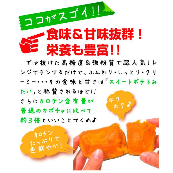 実生野菜苗 カボチャ F1スーパー栗美人 28株  南瓜 自根苗 やさいなえ なえ 国華園の画像