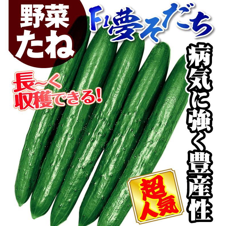 種 野菜たね 定番 キュウリ F1夢そだち 1袋 1ml 野菜のタネ 野菜 キューリ 種子 きゅうり 胡瓜 国華園 黄瓜 Ytc93