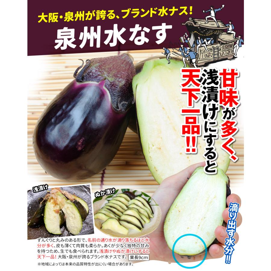 種 野菜たね ナス 泉州水ナス 1袋（1ml） せんしゅう みずなす やさい