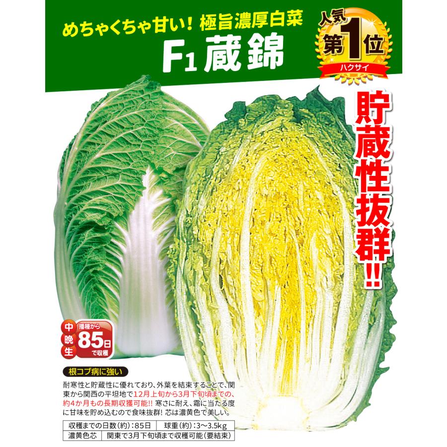 国華園 種 野菜たね ハクサイ F1蔵錦 1袋（4ml） 白菜 やさいの種 : 花