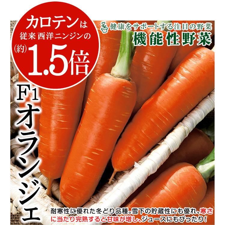 種 野菜たね ニンジン F1オランジェ 1袋（コート種子 200粒） 人参